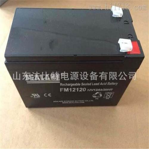 SEALAKE蓄电池FM12170应急电源12V17Ah质保1年海湖免维护电池 - 图2