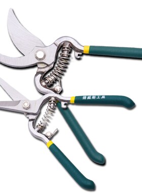 得威斯 园林绿化工具花剪树枝果树粗枝剪剪子果梨修枝剪园艺剪刀