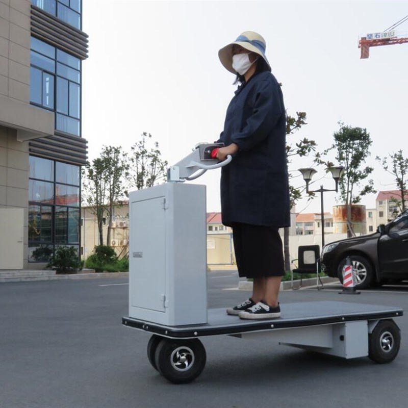 外销款 电动手推车拉货车 小型电动平板车搬运车 四轮 电动小推车 - 图2