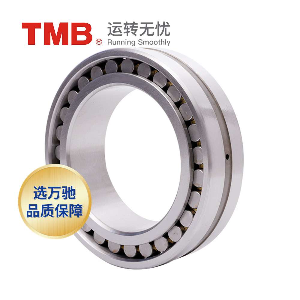 TMB/天马轴承NN3020K/P5W33(HS精密)精密机床双列圆柱滚子轴承 - 图0