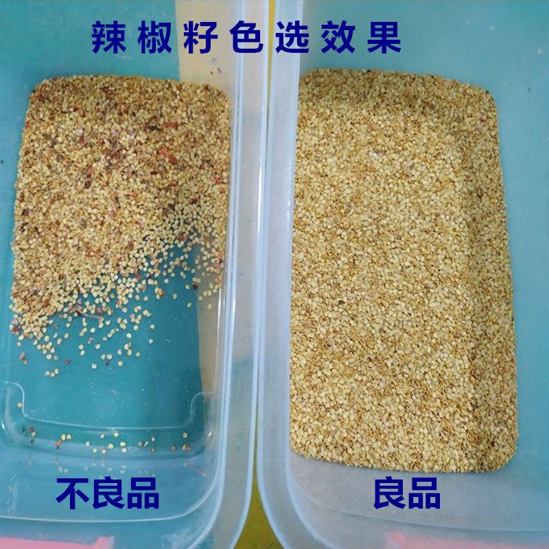 茶油籽色选机油菜籽色选机辣木籽棉籽辣椒籽色选机亚麻籽茶籽筛选 - 图2