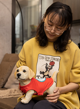 可爱摆件家居饰品时尚桌面软装客厅酒柜电视柜装饰V品乔迁新居礼