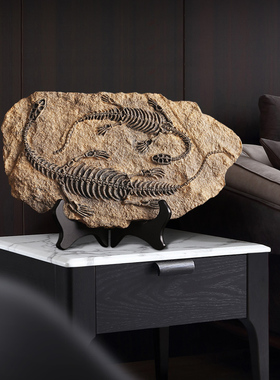 北欧恐龙复古摆件壁饰创意壁挂软装饰品办公室桌面小摆设品甲骨文