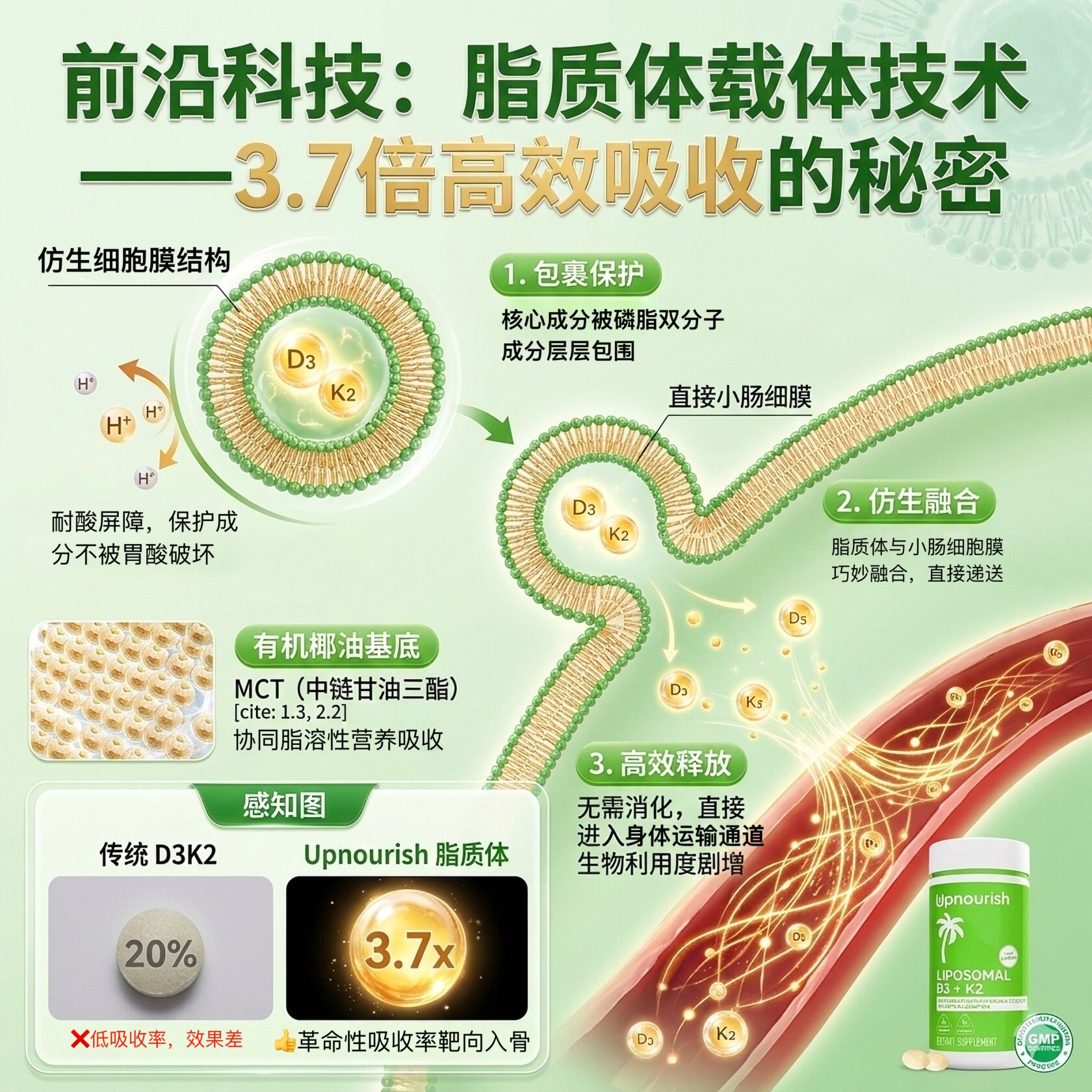 图 3