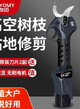 德国进口友迈德国电动剪刀果树修枝剪充电式无线锂电园艺园林液晶