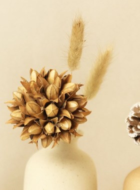 小摆件家居饰品软装客厅柜子书架电视柜日式干花茶几玄关原木风