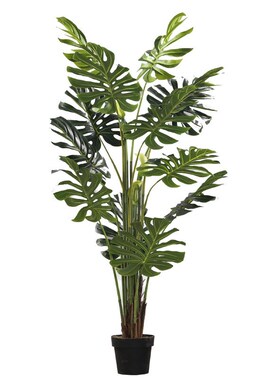 北欧落地绿植摆件家居客厅办公室服装店装饰盆景裂口芋植物摆设