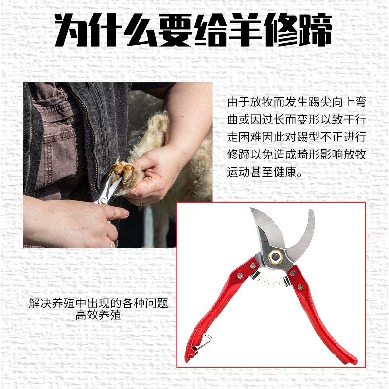 羊修踢剪刀修羊蹄子钳子兽用剪脚趾甲专用工具修蹄钳用品修蹄剪刀,淘宝优惠券,粉丝福利购,淘宝优惠卷