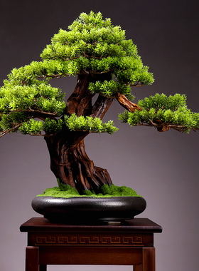 客厅仿真植物盆景室内迎客松v绿植盆栽大型假树桌面微景观装饰摆