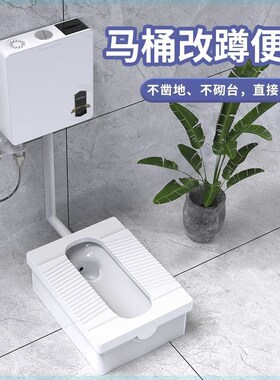 家用陶瓷蹲便器免挖坑免砌台明装防臭蹲坑冲水箱整套装蹲厕卫生间