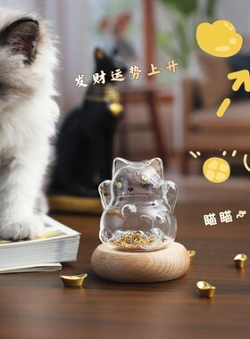 透明猫毛收纳挂饰迷你招财猫咪攒金豆豆储存罐存钱罐可爱桌面摆件