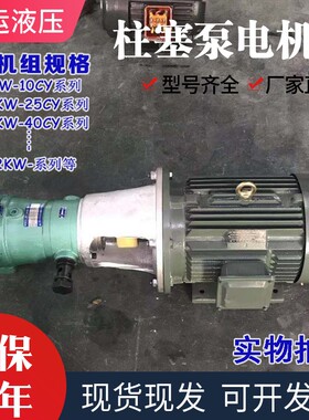 液压柱塞油泵电机组25CY+5.5KW液压泵总成内轴电机液压站配件系统