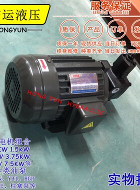 液压油泵电机组VP20+0.75KW1.5液压泵总成内轴电机液压站配件系统