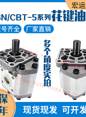 液压油泵高压齿轮泵CBN-G532/550油压泵CBT-G563/G532齿轮泵配件