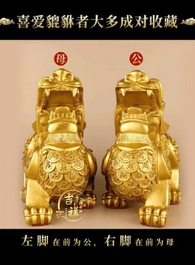 铜貔貅摆件一对黄铜招财貔犰大号皮丘铜制貔貅家居客厅办公室礼品