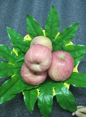 仿真八角金盘叶子水果店装饰用品假树叶摆盘塑料绿叶水果摊草坪垫