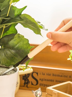 多肉植物园艺松土工具套装盆栽种花养花铲子花锹耙子迷你三件套装