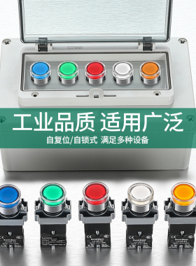 索维带灯按钮开关BW3361 BW3462平头带指示灯红绿黄蓝12V24V220V