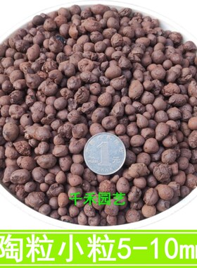 园艺陶粒空心轻质铺面垫底石建筑回填园林绿化水培多肉兰花营养土