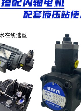 液压油泵变量叶片泵VP-20-FA3 VP-15 VP-40 VP-30-FA3-D H DH压头