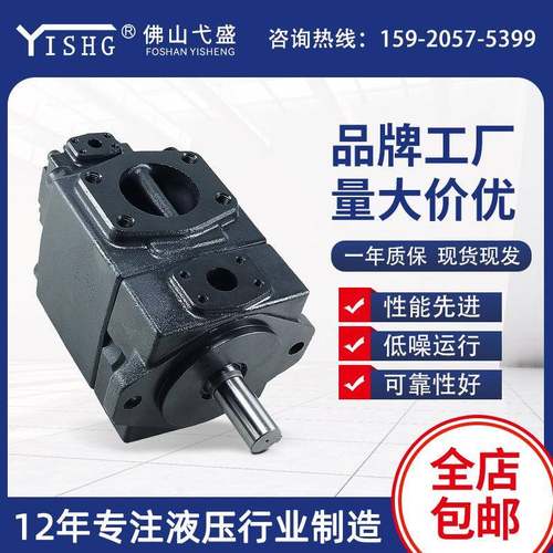 PV2R13-6/8/12/14/17-52/66/85/108/125-F-REAA42液压叶片油泵 - 图0