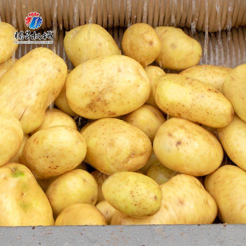 Factory direct sales of root vegetable cleaning machine, all stainless steel brush cleaning machine, Hunan Xiangtan water chestnut cleaning machine