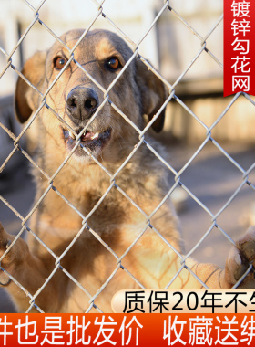 镀锌铁丝网勾花网钢丝牛羊养殖网果园围栏栅栏护栏网边坡防护网