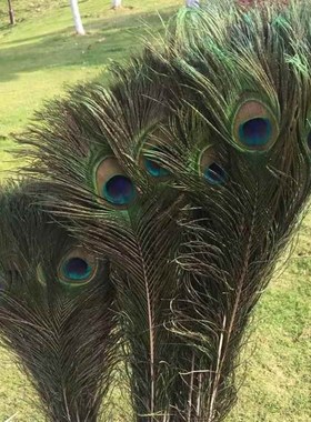 孔雀毛真羽毛家里摆设的装饰品客厅摆件大件插孔雀毛羽毛的花瓶