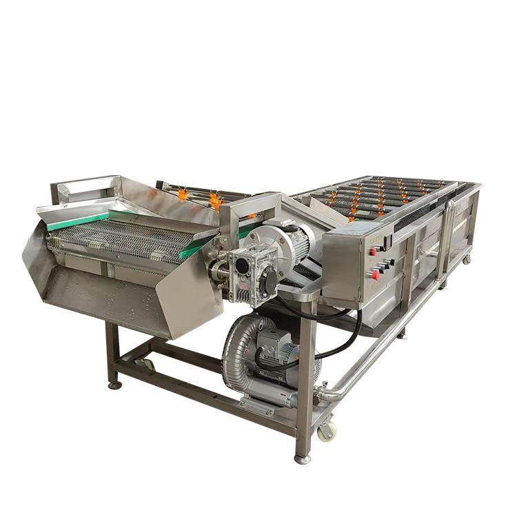 预制菜沙棘果杨梅蓝莓橙子气泡清洗机药材清洗油菜木耳百合清洗机,淘宝优惠券,粉丝福利购,淘宝优惠卷