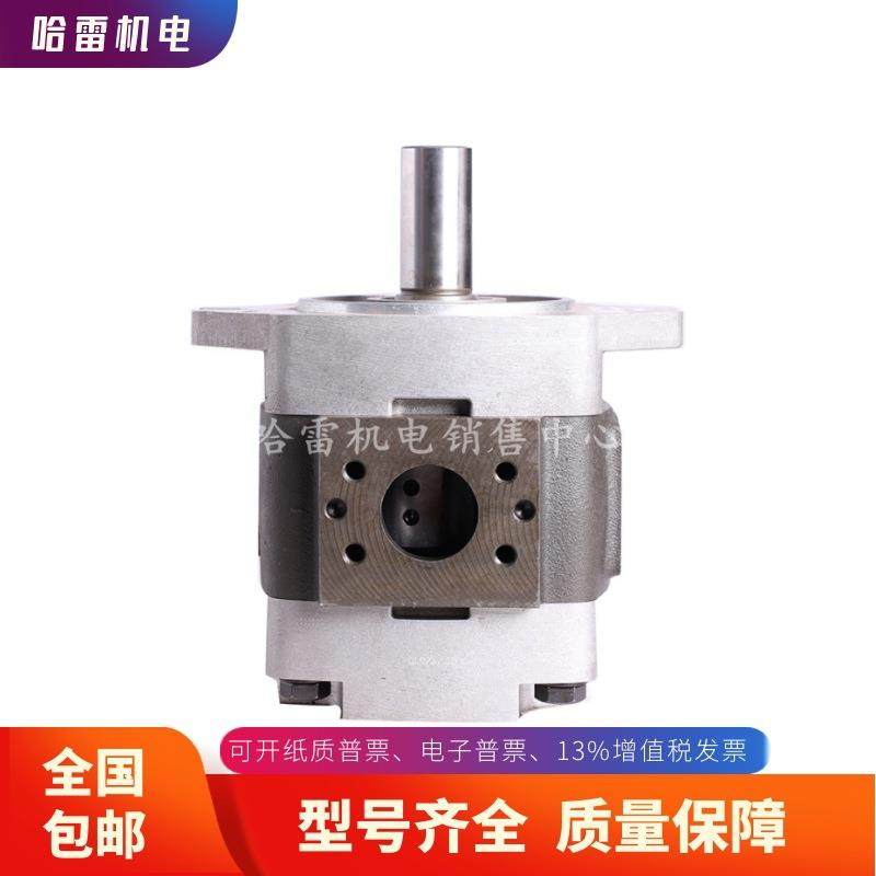 德国进口原装福伊特VOITH齿轮泵IPV3-5-141高压注塑机液压油泵,淘宝优惠券,粉丝福利购,淘宝优惠卷