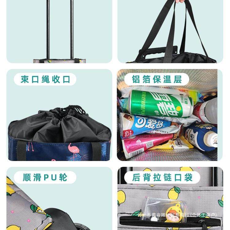 网红可伸缩保鲜便携折叠购物买菜家用拖车轻便拉杆行李小推车,淘宝优惠券,粉丝福利购,淘宝优惠卷