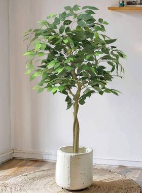 仿真榕树大型室内落地装饰摆件仿生植物白边榕假树植物盆栽