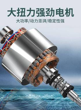 家用潜水泵高扬程农用抽水机清水泵污水泵小型灌溉泵220V抽水器