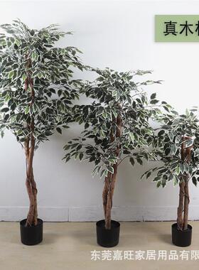 嘉jw084旺工厂直销客欧式风仿真榕仿真盆栽厅室内白边盆景树假绿