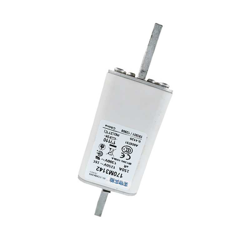 170M3142  170M3144 快速熔断器  电子元器件 型号齐全 量大价优 - 图1