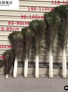 孔雀毛真羽毛家里摆设的装饰品客厅摆件大件插孔雀毛羽毛的花瓶