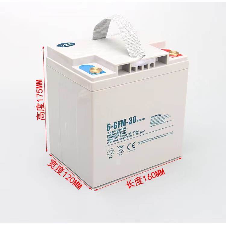 合力诺力叉车配件6-GFM-85AH中力小金刚杭州叉车12V原装天能电瓶 - 图2