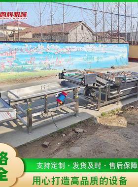 大姜大蒜气泡清洗机水果蔬菜软包装清洗设备海鲜气泡清洗机