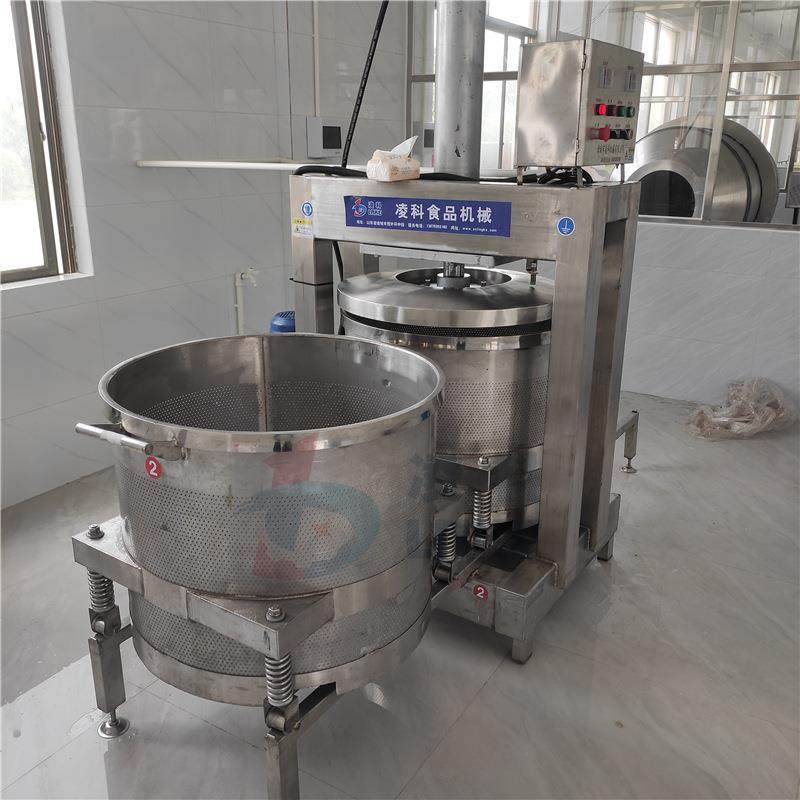 高速LY-100榨菜食品压榨机自动化物理液压脱水保留风味,淘宝优惠券,粉丝福利购,淘宝优惠卷