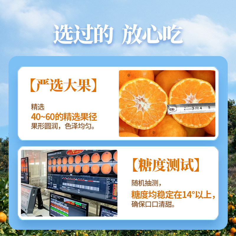 【顺丰包邮|坏果包赔】新余蜜桔5斤装小橘子蜜橘桔子新鲜水果当季