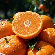 新余蜜桔现摘新鲜水果小橘子【5斤40-50mm】