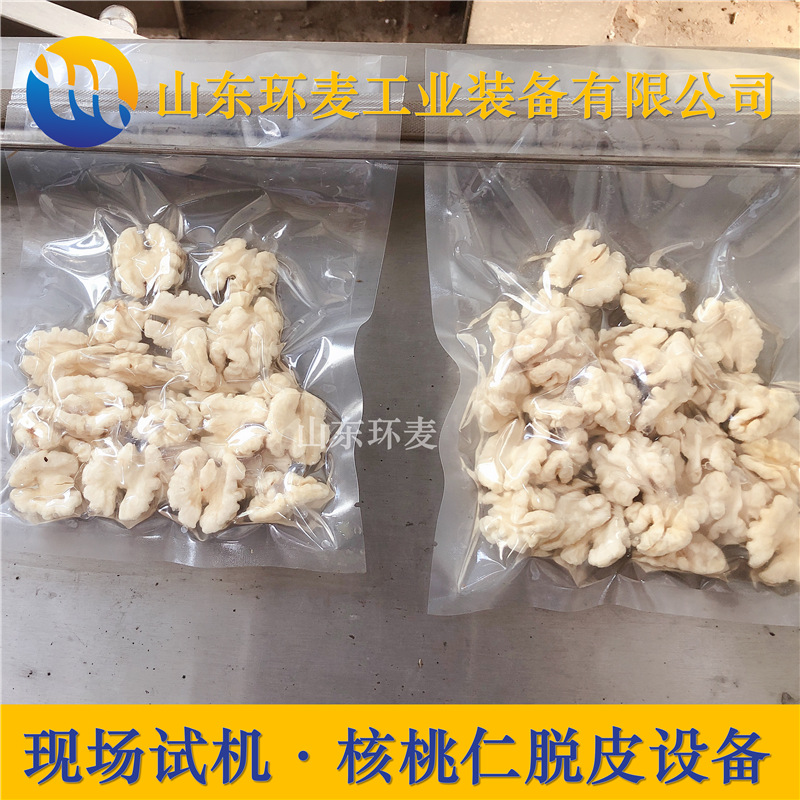 核桃仁脱皮清洗机 高压水流核桃仁去皮机 山东环麦果仁完整 - 图2