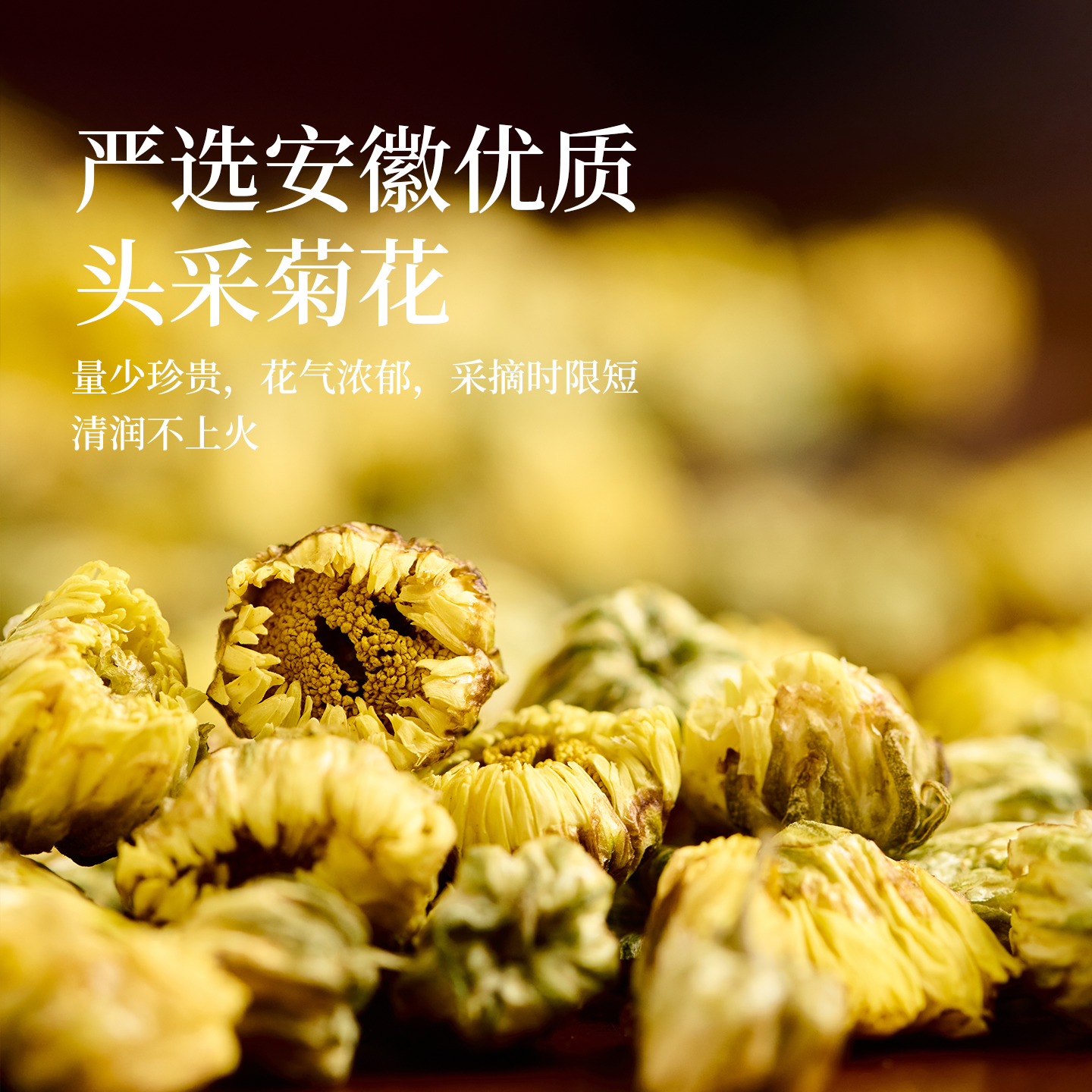 雷允上菊花泡水泡茶枸杞官方正品旗舰店搭配金银花枸杞养生明滋养,淘宝优惠券,粉丝福利购,淘宝优惠卷