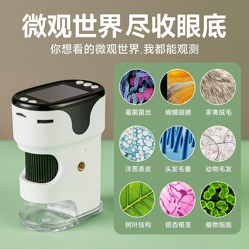 图5