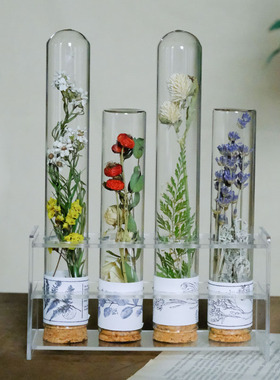 玻璃试管干花道作样板间植房桌面摆件现实验风书物手具礼物