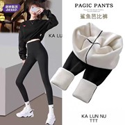 唐狮！加厚羊羔绒鲨鱼裤