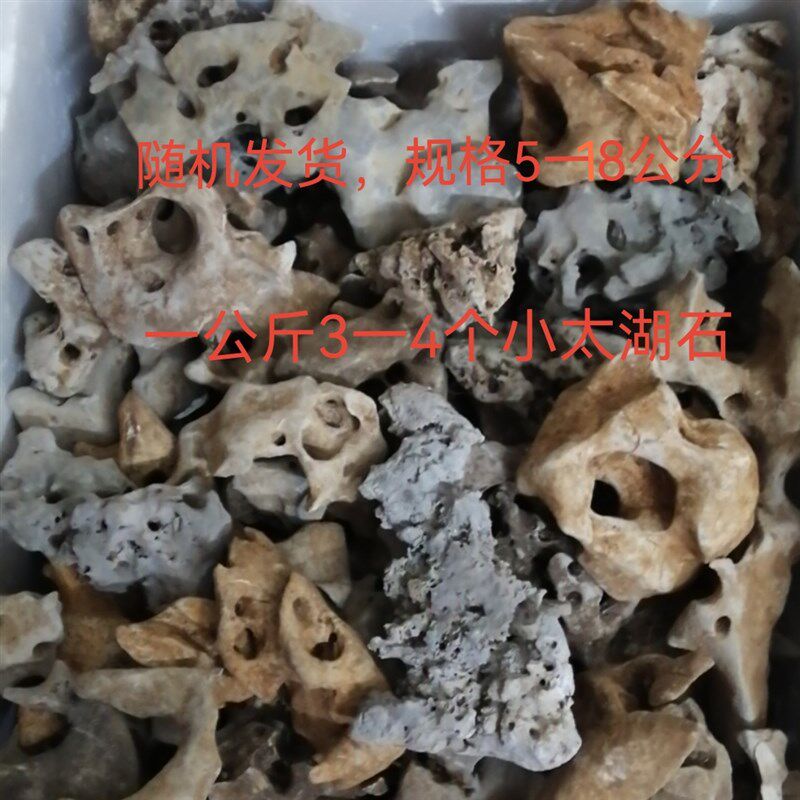 太湖石原石小石头客厅摆件花盆太湖奇石鱼缸菖蒲植物附石假山盆景,淘宝优惠券,粉丝福利购,淘宝优惠卷