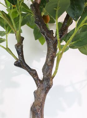 仿真柠檬树北欧风柠檬树仿真盆栽落地摆件直销仿真植物柠檬树