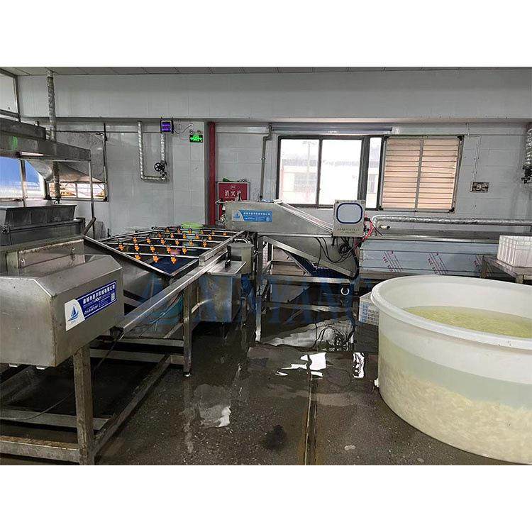 玉米蒸煮漂烫线酵素巴氏杀菌机魔芋爽预制菜巴氏杀菌冷却风干线,淘宝优惠券,粉丝福利购,淘宝优惠卷