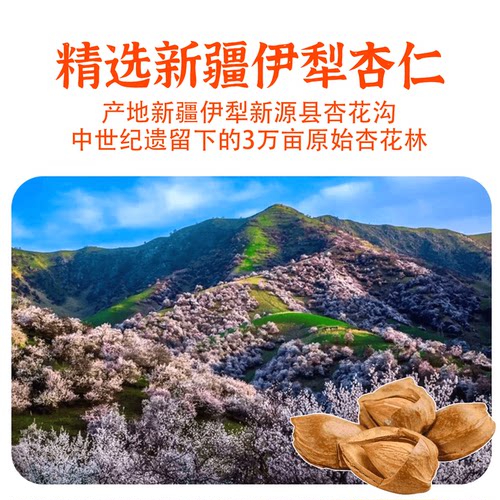 新疆特产杏花沟纯杏仁粉营养丰富早餐代餐独立包装即食冲泡包邮 - 图0